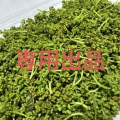 八ヶ岳産 天然 花山椒 100ｇのサムネイル