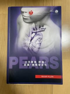 PEARS プロバイダーマニュアルのサムネイル