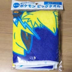さちこ様専用　ポケモン  タオルのサムネイル