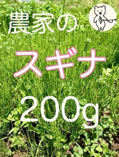 農家のスギナ 200gのサムネイル