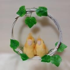 羊毛フェルト オカメインコちゃんのリース ハンドメイド ハンドメイド 羊毛フェルト オカメインコ リース - メルカリ