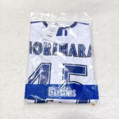 横浜DeNAベイスターズ 森原康平投手 ハイクオリティレプリカ