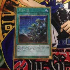 【遊戯王】同胞の絆のサムネイル