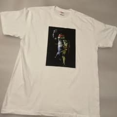 モモSUPREME ミュータント ニンジャ タートルズ Tシャツ Lサイズ モモ様専用SUPREME ミュータント ニンジャ タートルズ Tシャツ Lサイズ
