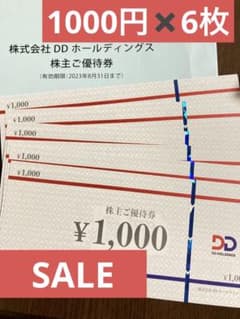 DDホールディングス　株主優待券のサムネイル