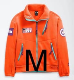 ノースフェイス トランスアンタークティカ フリース M TAE オレンジ 