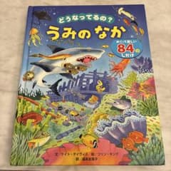 どうなってるの？ うみのなか/ 仕掛け図鑑のサムネイル
