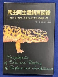 爬虫両生類飼育図鑑 カメ・トカゲ・イモリ・カエルの飼い方のサムネイル