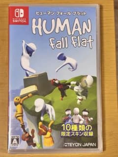 Nintendo Switch Human Fall Flatのサムネイル