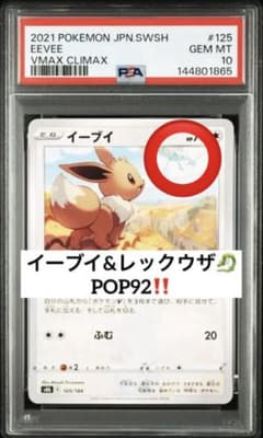 現品限り‼️ POP92‼️ PSA10 レックウザ イーブイ 125 - メルカリ