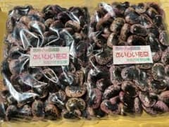 12 信州・八ヶ岳高原　おいしい花豆　令和6年収穫　400g×2袋　合計800gのサムネイル