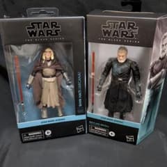 スターウォーズ　ブラックシリーズ　ベイランスコール　シンハティ2体セット