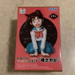お値下げ‼️【未使用】真•侍伝YAIBA 峰さやか
