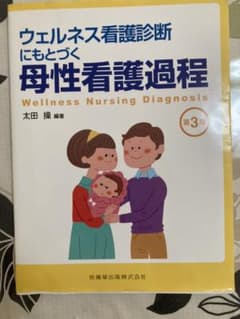 ウェルネス看護診断にもとづく母性看護過程のサムネイル