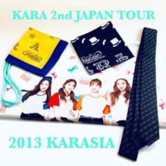 ✨まるまーる様専用ページ✨KARA 2nd JAPAN TOUR 2013✨のサムネイル