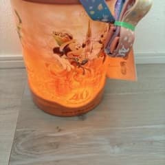 ポップコーンバスケット　ドリームゴーランド　ディズニー40周年