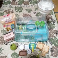 ハムスター飼育セットのサムネイル