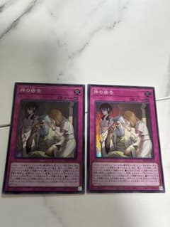 遊戯王 神の密告 スーパーレア BLZD-JP079 ×2枚セット