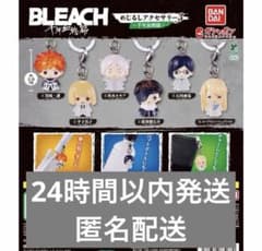 ブリーチ BLEACH めじるしアクセサリー コンプリート 全6種 - メルカリ