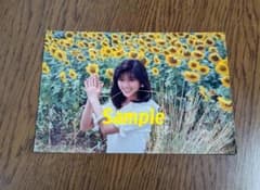 酒井法子　生写真　レア！１枚！ 酒井法子 生写真 レア！ - メルカリ