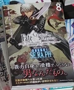 Fate/Grand Order-Epic of Remnant-아종특이점 E…