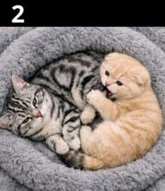 オーダーページ ハンカチ 314 ねこちゃん柄 ハンドメイド 2/2 - メルカリ