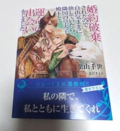 婚約破棄されたので自由気ままに旅していたら、隣国の皇太子殿下と運命の出会いをし…
