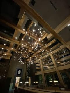 この有 様 専用のサムネイル