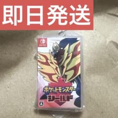 Pokémon Package & Cartridge Keychain Shield