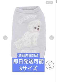 gelato pique 犬用 ドッグウェア マルチーズ 新品のサムネイル