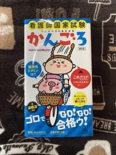 看護師国家試験のためのゴロあわせ集 かんごろのサムネイル