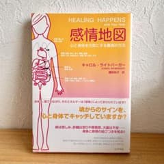 『感情地図』心と身体を元気にする最高の方法　キャロル・ライトバーガー著のサムネイル