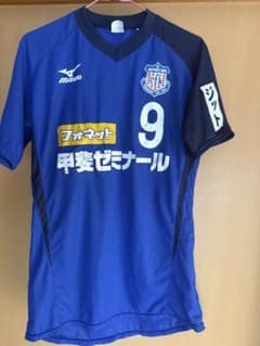 ヴァンフォーレ甲府　トレーニングマッチユニフォームのサムネイル