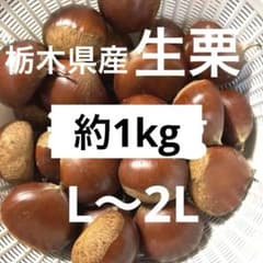 大粒！栃木県産　無農薬生栗　約1kg(箱の重さ込み) 栗ご飯茹で栗にのサムネイル