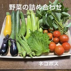 野菜の詰め合わせ２のサムネイル