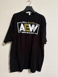 【値下げ可❗️】tultex AEW Tシャツ 黒のサムネイル