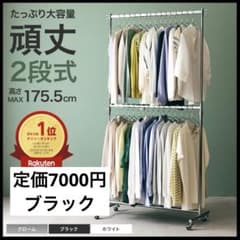 定価7000円　ルミナス　2段式ハンガーラック ブラック　180cm 頑丈ポール