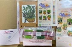 ダイヤモンドアートクラブ【多肉植物】 ダイヤモンドアート 植物と猫 minidazzles ダイヤモンドアート