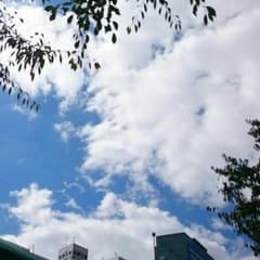 みち様専用‼ ヒステリックグラマー 羊皮ジャケットのサムネイル