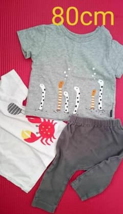 80cm 半袖Tシャツ2枚・10分丈ズボン まとめ売りのサムネイル