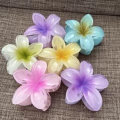 アロハクリップのサムネイル