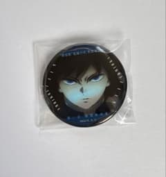 鬼滅の刃 ものがたる眼差しコレクション缶バッジ 冨岡義勇 - メルカリ