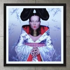 額装品/Homogenic 1997 限定1000枚/ビョーク/ポスター/アート - メルカリ