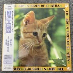子猫物語　サントラLPレコード　初回特典ポスター付き美品　坂本龍一のサムネイル