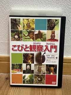 こびと観察入門 DVD カフタタケノノヒョウタン編のサムネイル