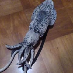 あわび本舗　白チャオリいか　かばん型のサムネイル