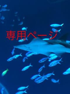 専用ページのサムネイル