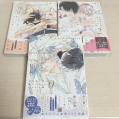 【ひぃ様専用】可哀想な君は僕だけの甘やかな傷 千野ち 全巻セットのサムネイル