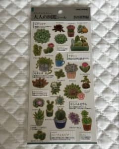 お得⭐︎廃盤レア品3枚セット】大人の図鑑シール/化石編・キャンプ編・多肉植物編 大人の図鑑シール 多肉植物編 廃盤 - メルカリ