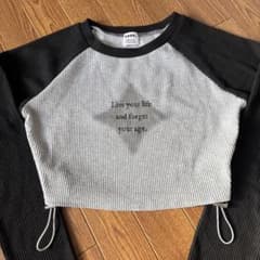 クロップドTシャツ グレーと黒のストライプのサムネイル